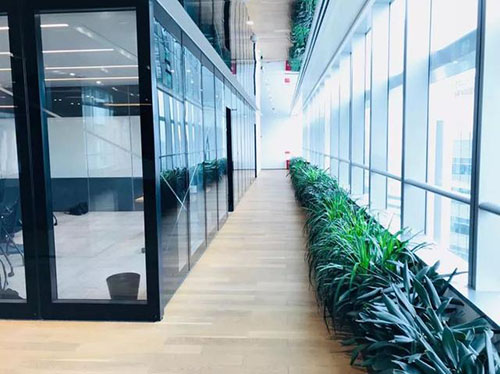 办公室走廊图